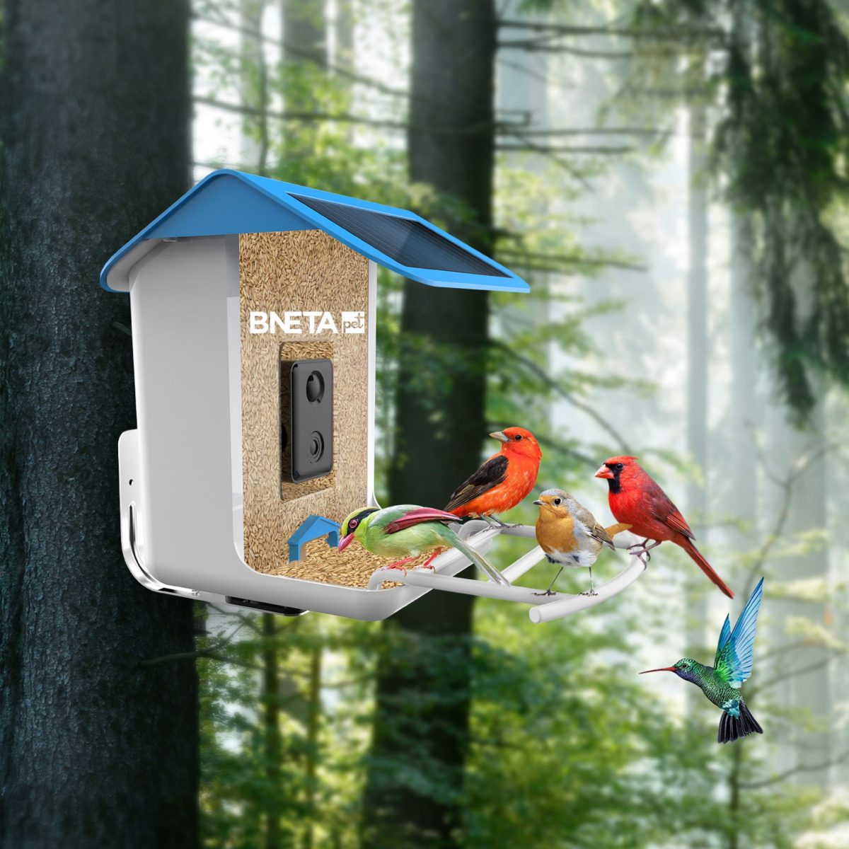BNETA Pet Smart AI Bird Feeder BF002 - Image 2