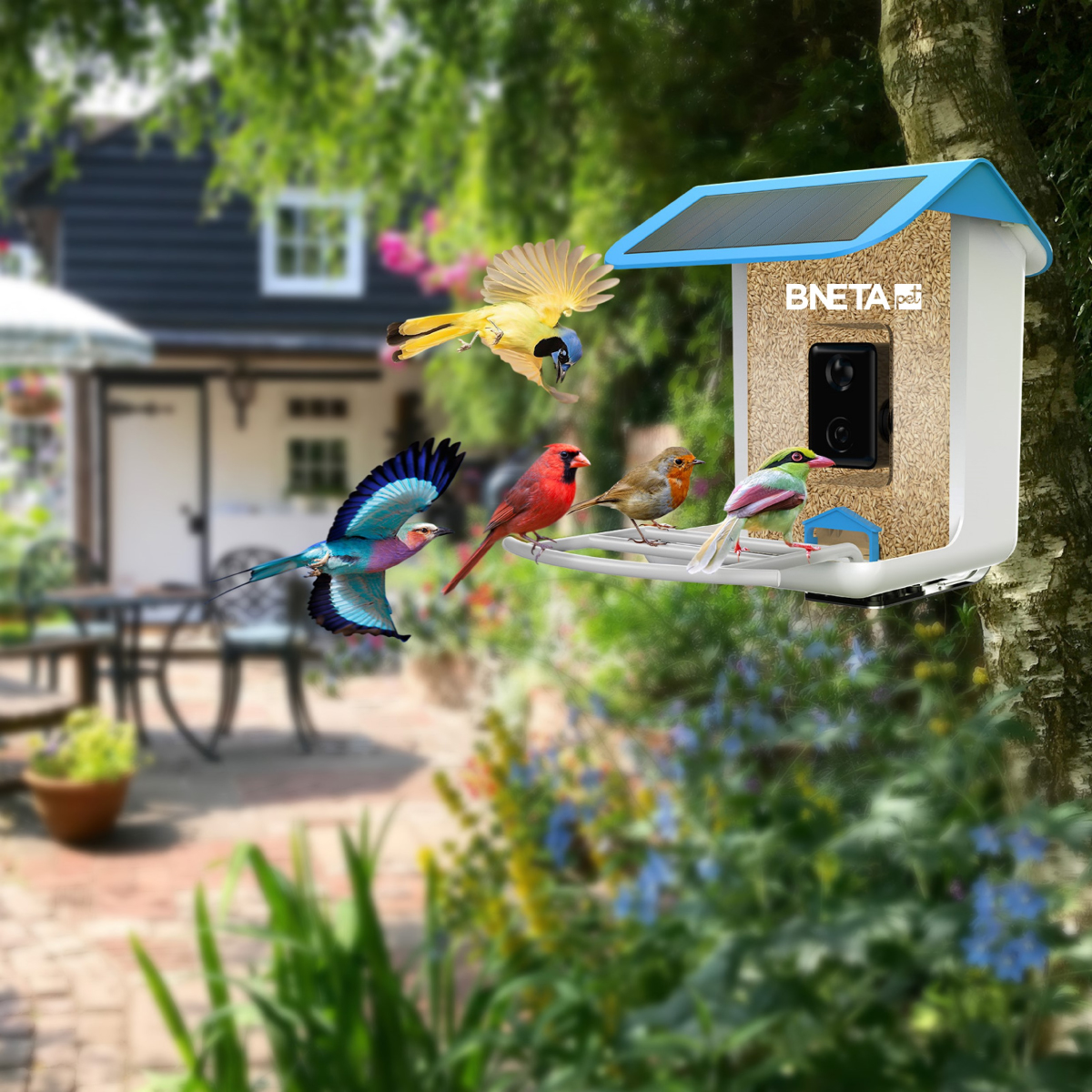 BNETA Pet Smart AI Bird Feeder BF002 - Image 4