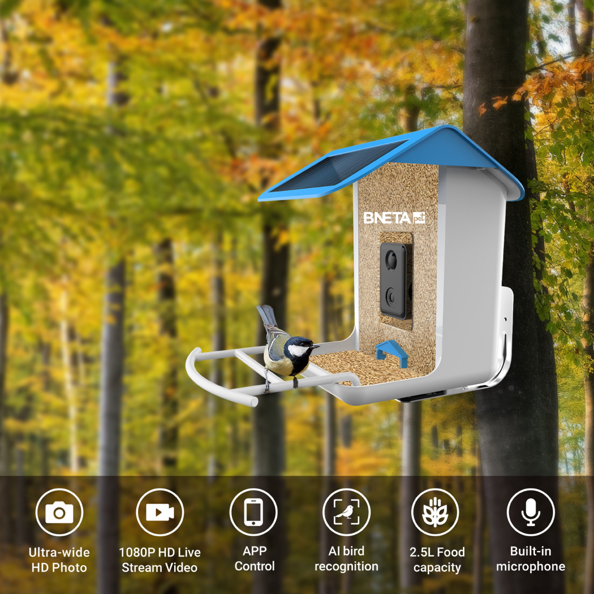 BNETA Pet Smart AI Bird Feeder BF002 - Image 6